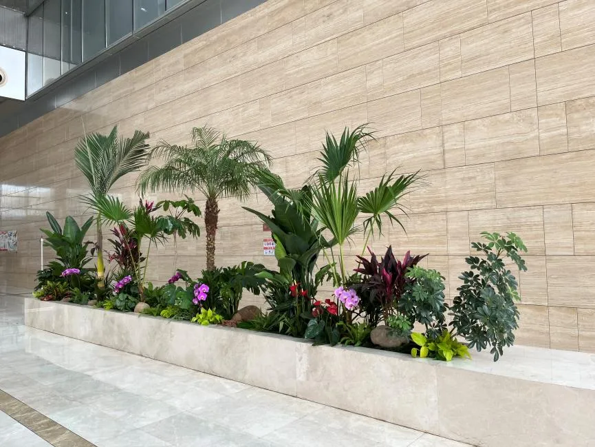超赞鄞州绿植租摆方案，为空间注入生机活力